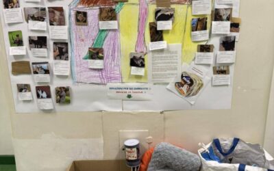 “Mala mačja kuća”