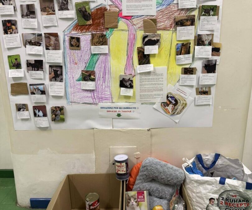 “Mala mačja kuća”