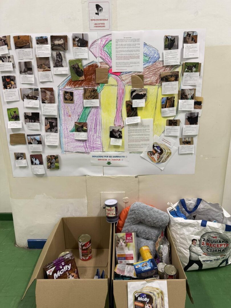 599503014_1440436188082809_2824851489856677304_n